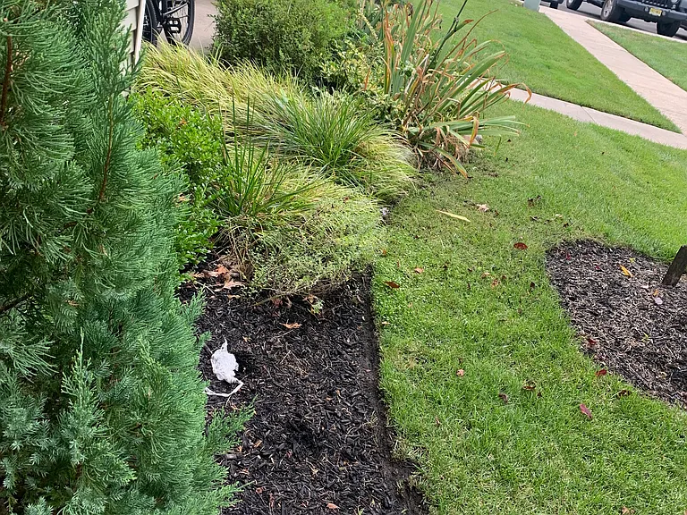 Nice Grounds/Condo Association Maintained (unfortunately no pets allowed)