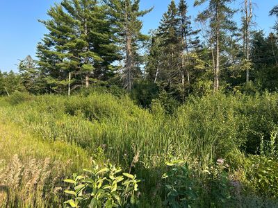 V/l W #M-32, Alpena, MI, 49707