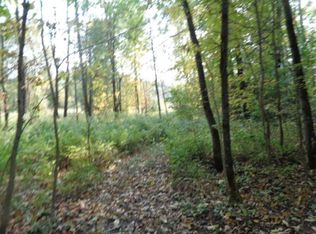 17180 Mosquito Lake Rd, Townsend, WI 54175