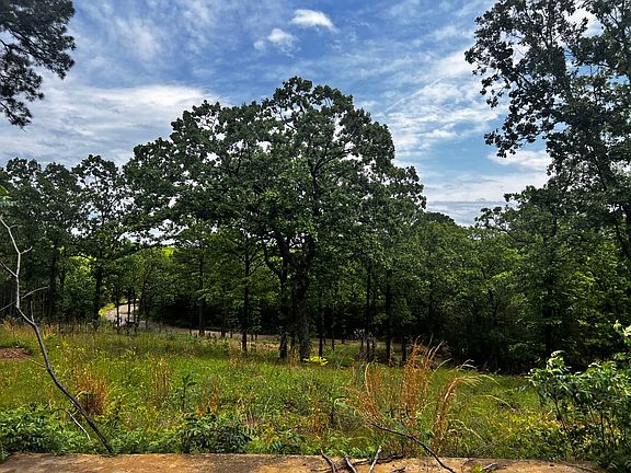 5th image of Bokoshe Mountain Ln