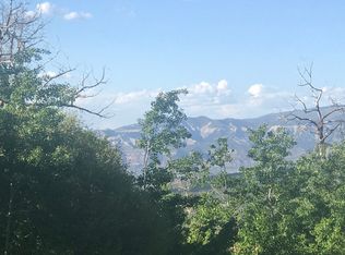 407 Powder Ridge Cir, Mesa, CO 81643