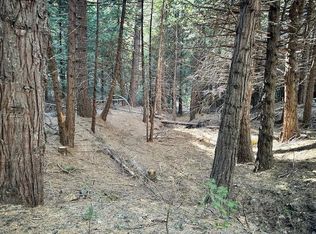 3503 The Jug Handle, Arnold, CA 95223