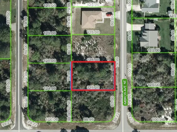 347 Imbros Ave NE, Lake Placid, FL 33852