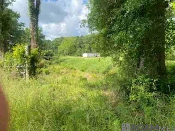 19692 Pride Baywood Rd, Pride, LA 70770
