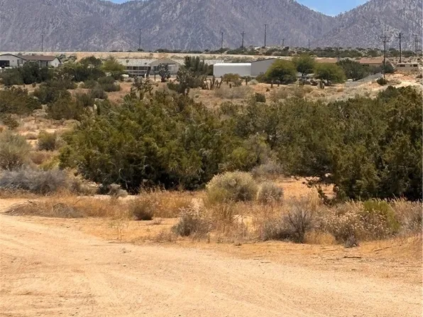 0 126th St E Lot 9, Pearblossom, CA 93553