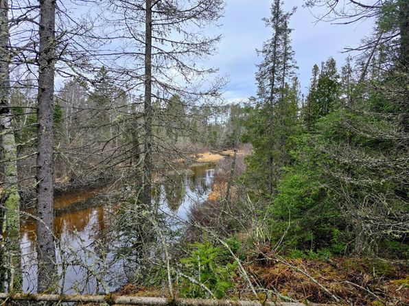 Off Hwy #45, Land O Lakes, WI 54540