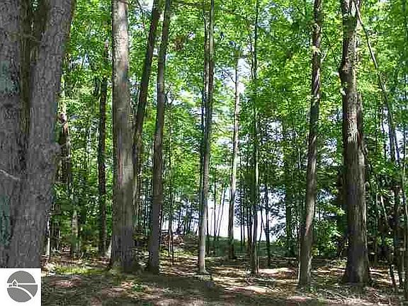 2nd image of 0 Birch Pointe Dr