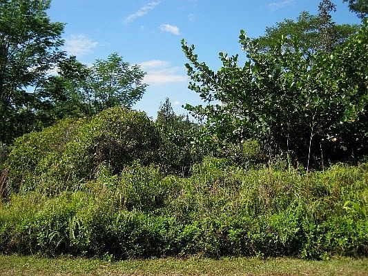 4th image of 5th Ave Lot 2390