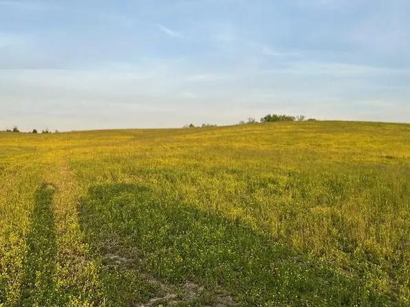 0 Mount Hope Rd, Mohawk, TN 37810