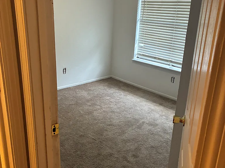 5307 Timber Haven Ln — Photo 17