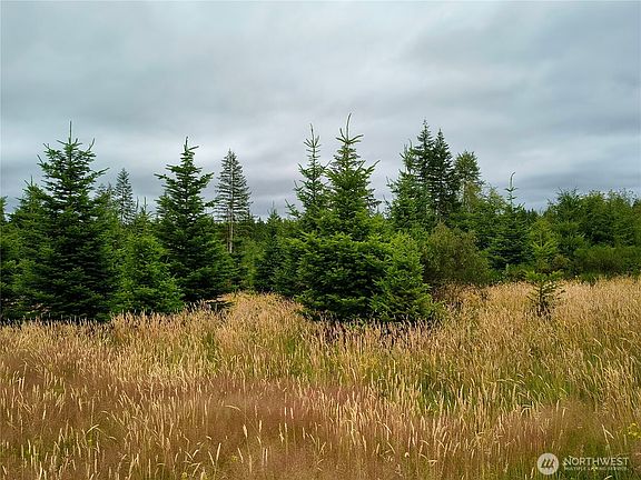 2nd image of 6510 101 St Avenue SW