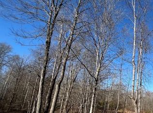 1050 Fiddlers Green Rd, Patrick Springs, VA 24133