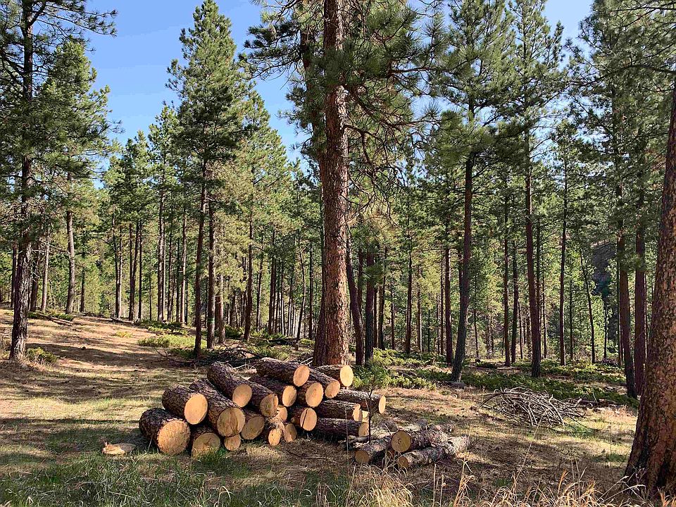 Tbd Hazel Ln, Rapid City, SD 57702 MLS 75994 Zillow