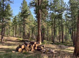 Tbd Hazel Ln, Rapid City, SD 57702