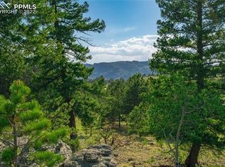 441 Crescent Dr, Florissant, CO 80816