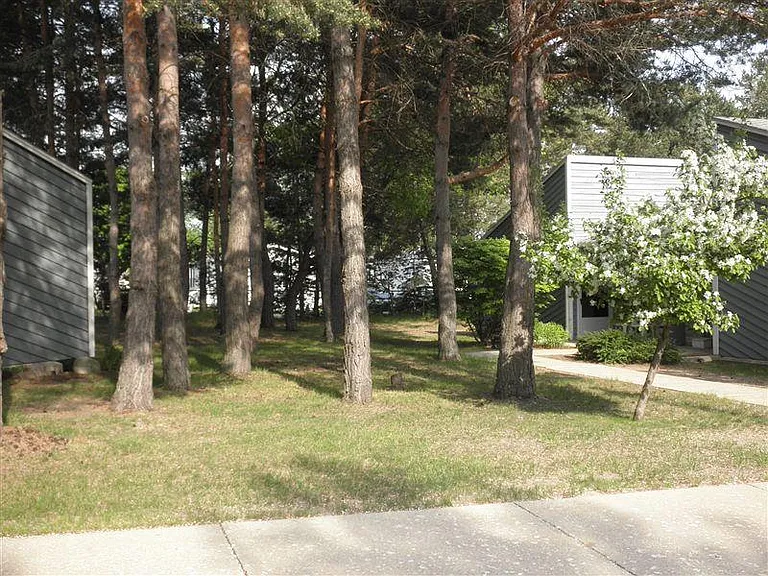 Windmere Pines Apartments — Photo 9
