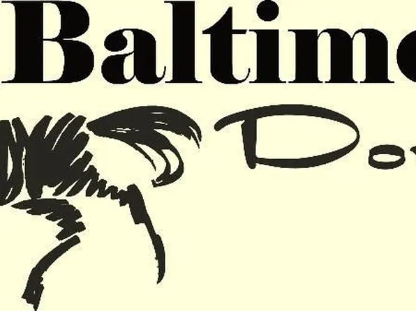 1383 Baltimore Rd, Advance, NC 27006