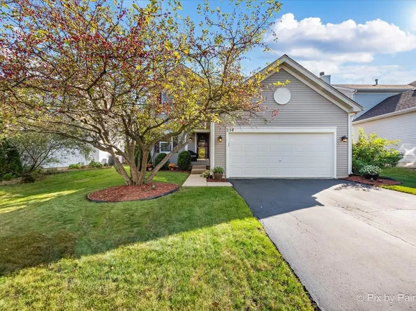 254 Evergreen Ln, Gilberts, IL 60136