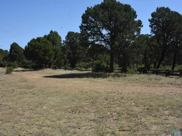 2 Miles N Cr A #Of-20, Las Vegas, NM 87701