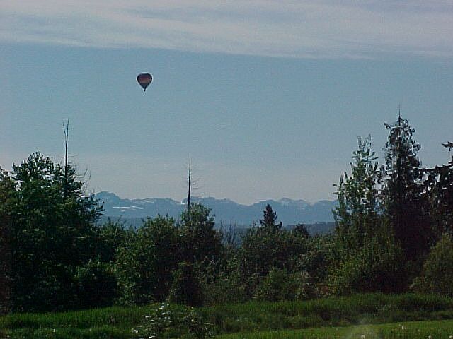 Backyard Views Change Daily