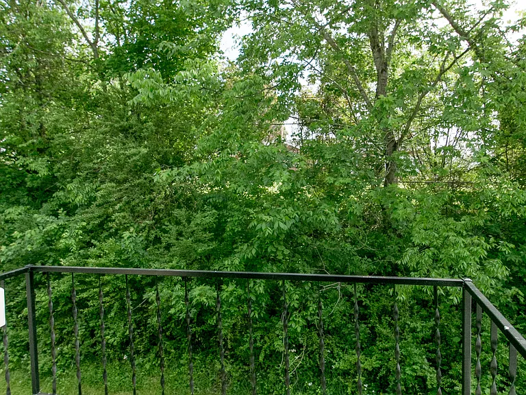 2110 Ashland City Rd #B — Photo 19