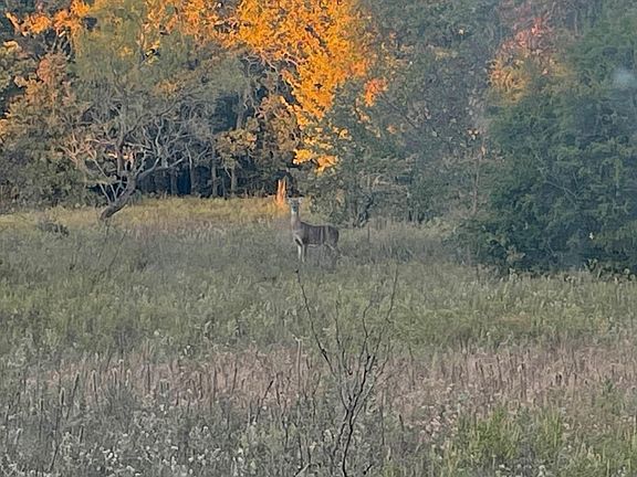 5th image of 350 Indian Camp Rd