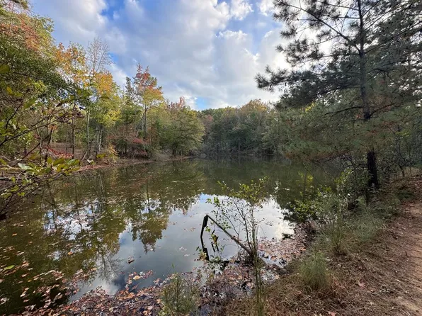 0 State Highway 223, Banks, AL 36005