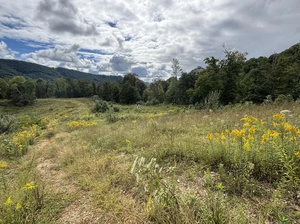 0 Brumley Gap Rd, Abingdon, VA 24210