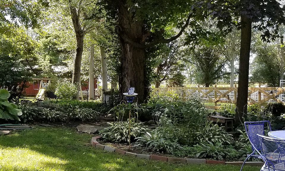 Huge backyard garden