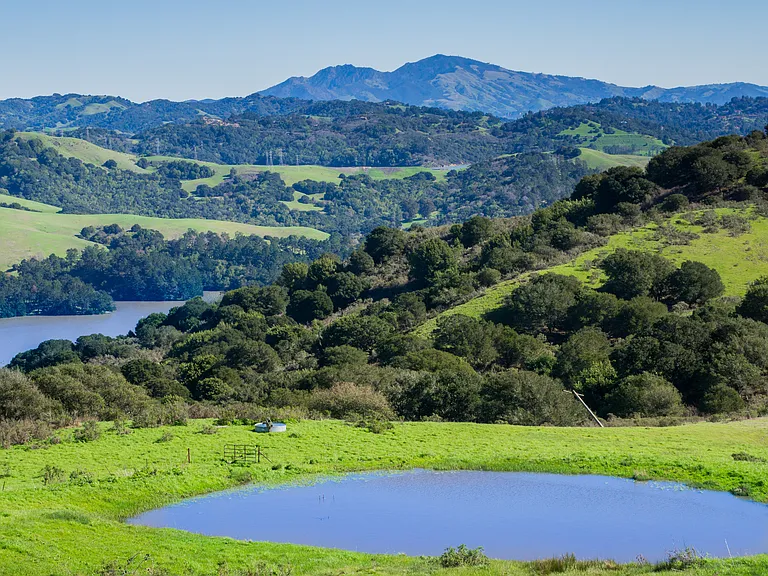 Explore scenic hiking trails at Wildcat Canyon Regional Park just 11 minutes away.