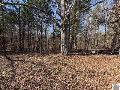 46 Bayridge Rd, New Concord, KY, 42076