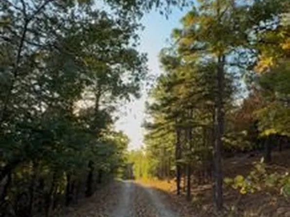 56 Eagle Ridge Dr, Paron, AR 72122