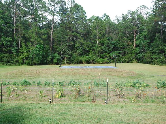 5th image of 10853 Brandon Chase Dr