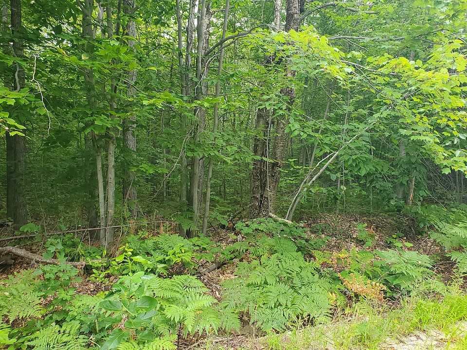 2nd image of TBD Voter Hill Road