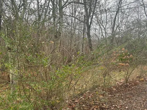 121 Orville Carroll Rd, Mammoth Cave, KY 42259