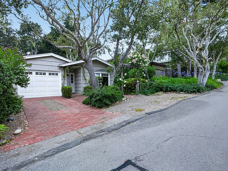 Vizcaino — Photo 1