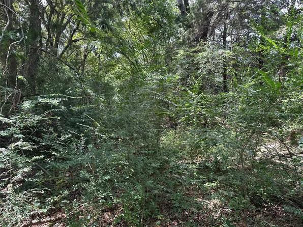 Franklin St, Mount Vernon, TX 75457