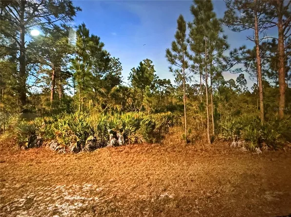 604 Orchid Dr Lot 2, Indian Lake Estates, FL 33855