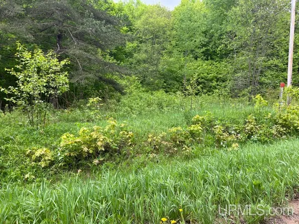 26 Road, Trenary, MI 49891