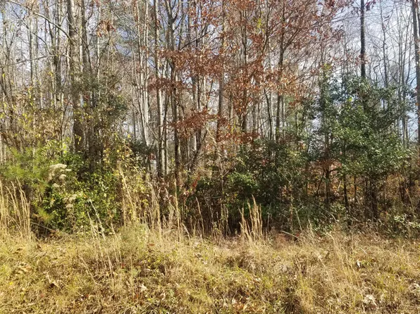 Ridge Rd, Lancing, TN 37770