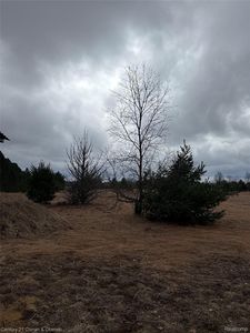 00 Vroom Rd, South Boardman, MI, 49680