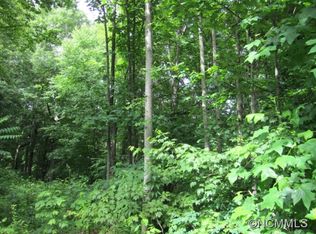99999 Pinnacle Dr, Black mountain, NC 28711