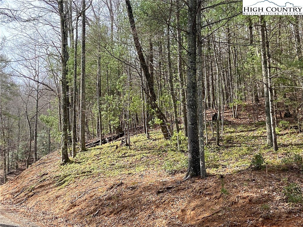 TBD Doe Valley Lane, Deep Gap, NC 28618 MLS 242195 Zillow
