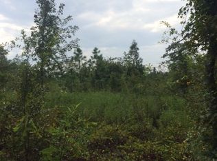 654 Sam Beasley Rd, Lyons, GA 30436