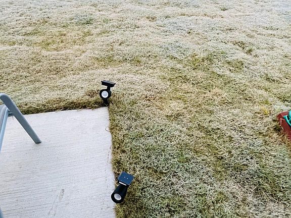 Back yard
