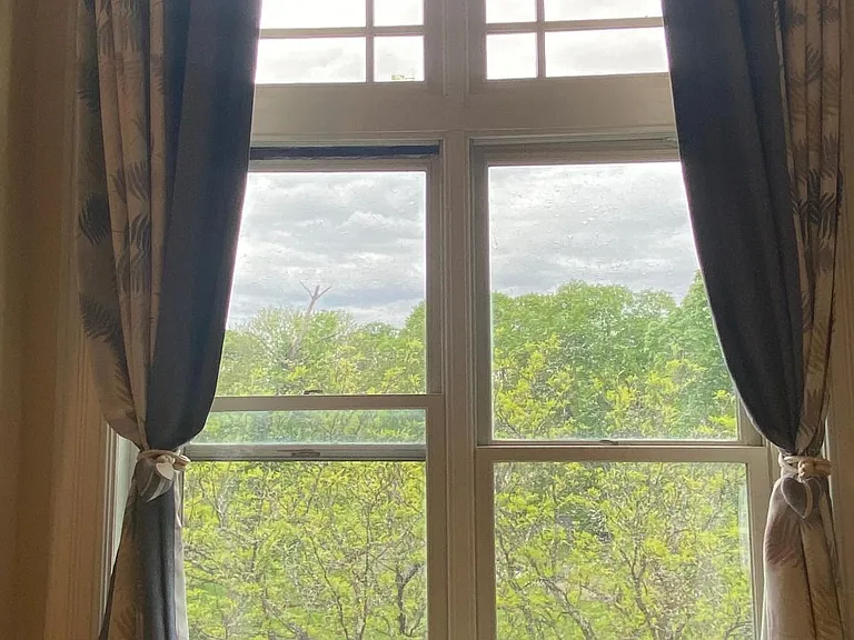 Living room window facing the park