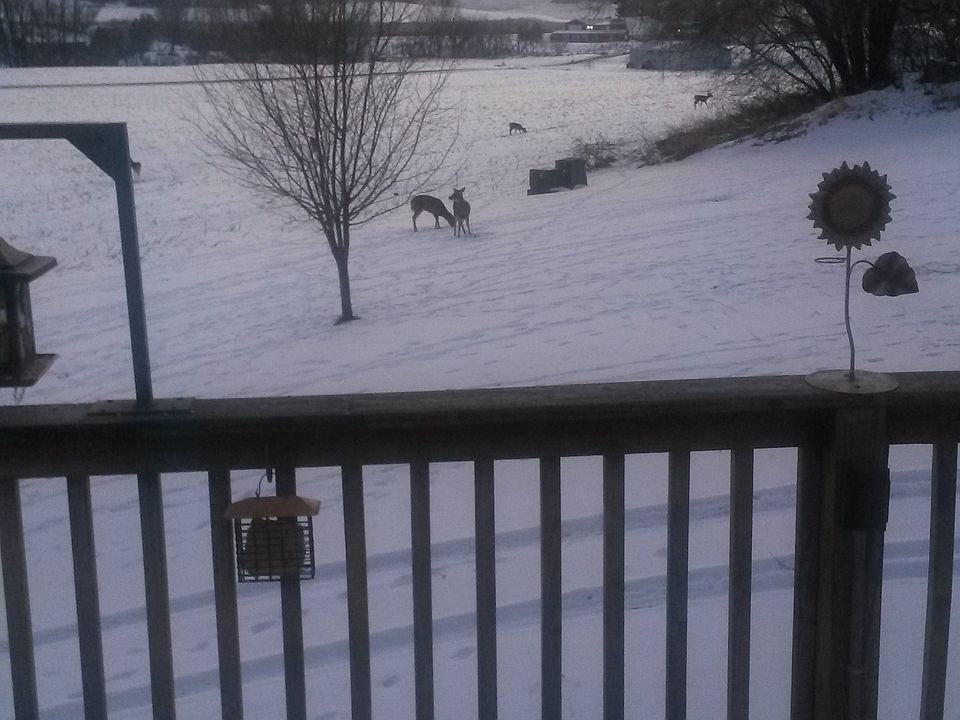 2nd image of N17957 Marsh Ln
