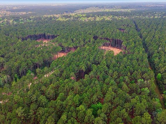 2nd image of 16201 Rustric Ranch Rd