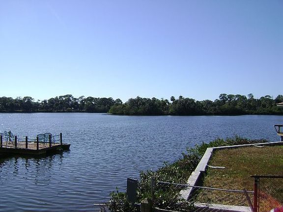 back yard view & access