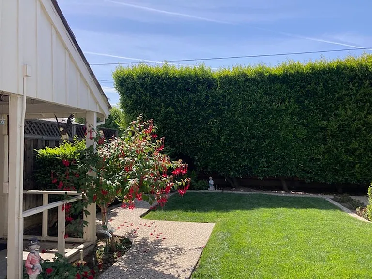 1599 San Gabriel Way — Photo 30